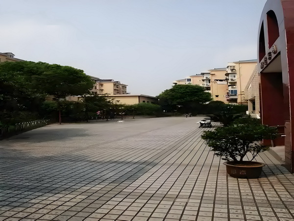 《扫毒风暴》大结局王奇令人失望！林强峰的牺牲，与她有隐秘关联